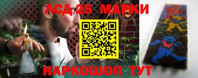 Альфа ПВП Можга